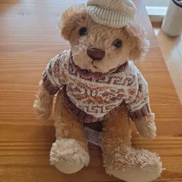 곰 봉제 인형 스웨터와 모자 포함