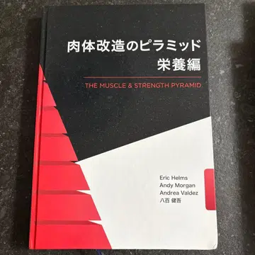 신체 개조의 피라미드 영양편