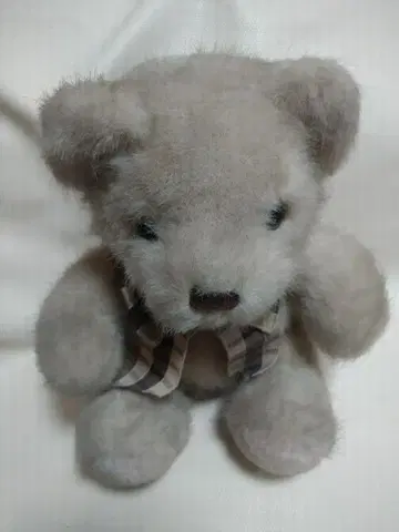 CHADWICk 곰 봉제 인형 550