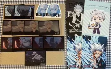 BLEACH 히즈카야 토시로 랜덤 카드 표지 엽서 외 15점
