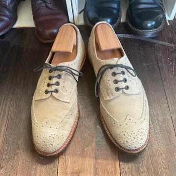 트리커스 81/2 베이지 스웨이드 윙팁 슈즈