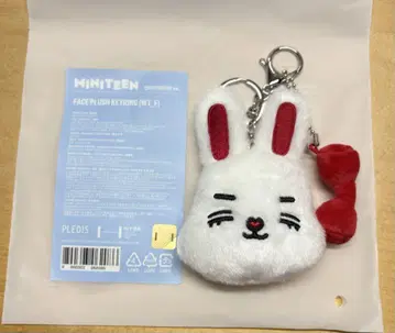 SEVENTEEN MINITEEN CHOITCHERRY 키링