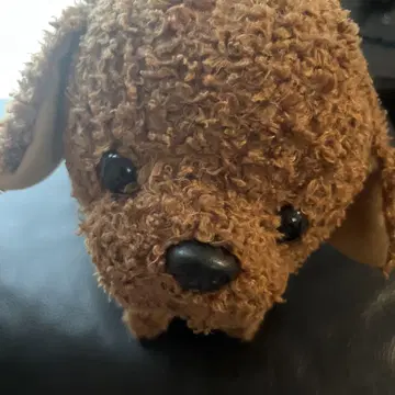 코코 거꾸로 서서 초콜릿