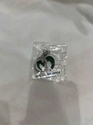 Mrs. GREEN APPLE 키링