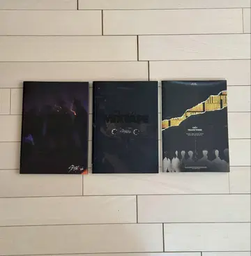 Stray Kids 초기 3개 앨범 풀세트 트레이딩 카드 포함