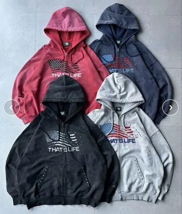That's Life Wave Flag Hoodie