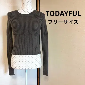 TODAYFUL 그레이지 컴팩트 리브 니트 리브 긴팔 스웨터