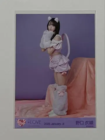 이코라부 노구치 이오리 생사진 고양이 의상