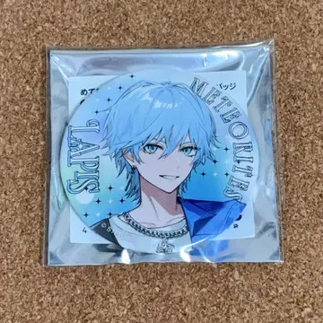 Meteorites Lapis 무도관 캔뱃지