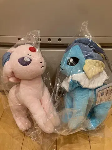 새상품 포켓몬스터 샤미드 에브이 봉제 인형 마스코트