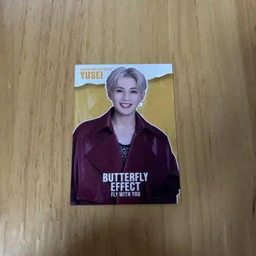 BUTTERFLY EFFECT 포토 카드