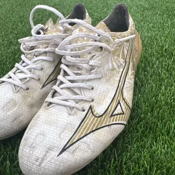 Mizuno 알파 ELITE 24.5