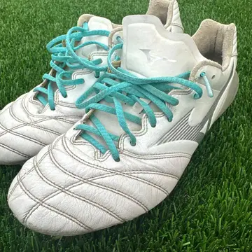 미즈노 모나르시다 NEO3 24.5