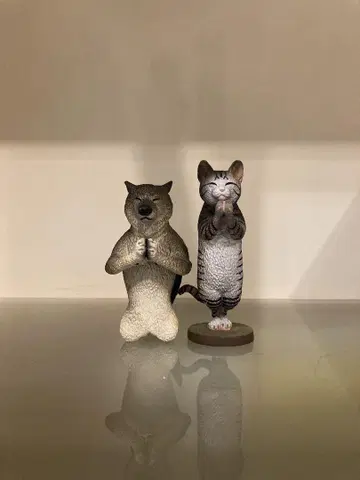 아사쿠마 토시오 ANIMAL LIFE Wish!! 기도