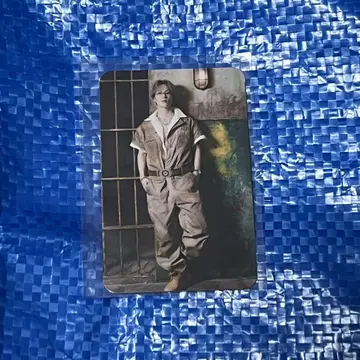 자유로의 대탈주 후지와라 이츠키 트레이딩 카드
