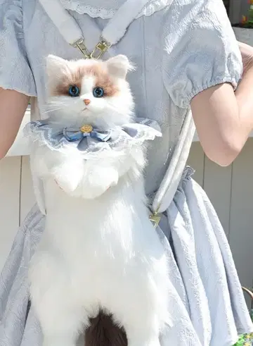 고양이 봉제 인형 백팩 프릴 달린 랙돌 백팩 가방 탈부착 가능