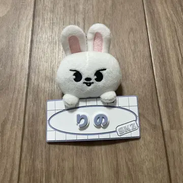 Stray Kids 네임 백참 일본 팬미팅 leebit