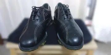 풋조이 25.5cm 골프화 블랙