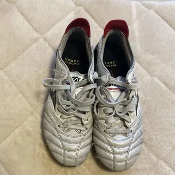 MORELIA NEO 23cm