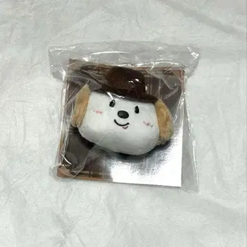 RIIZE 앤톤 봉제 인형 배치 트레이딩 카드 포함 몽룡이