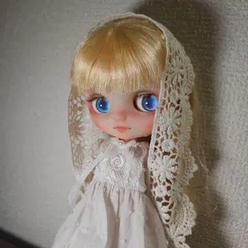 커스텀 미디 브라이스 일본 국내 작가님