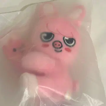 스키즈 도미네이트 팝업 돼끼 마그넷 봉제 인형 창빈