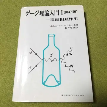 물리학 전문서 게이지 이론 입문 I (제2판) - 전자 상호작용