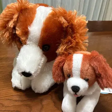 오데코짱 봉제 인형 세트