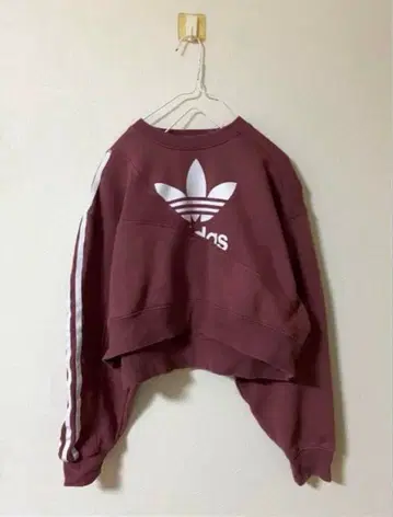 adidas 아디컬러 숏 기장 맨투맨 트레이닝복