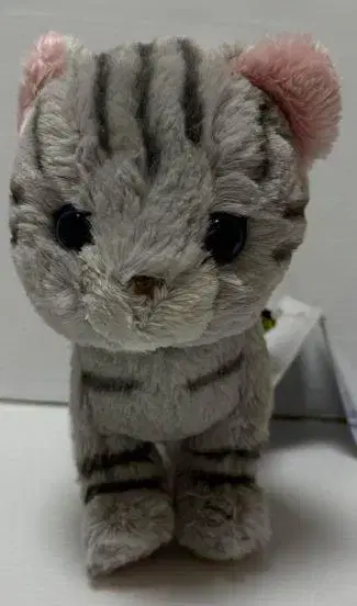 산레몬 키튼 봉제 인형