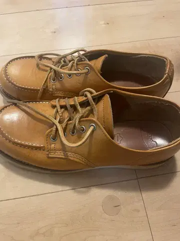 REDWING 레드윙 아이리쉬 세터 옥스퍼드 9895