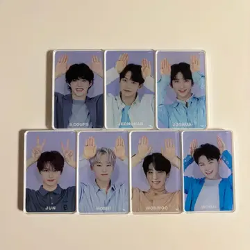 SEVENTEEN 토끼 마그넷 컴플리트