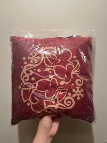 팬더블 디즈니 담요 크리스마스