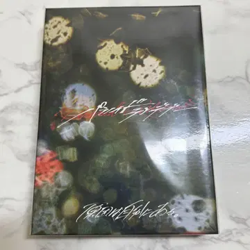파라노이드 랑데부 관측소 한정판 미개봉