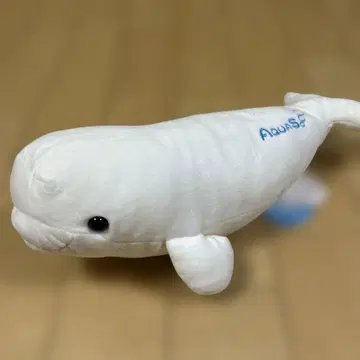 새상품 아쿠아 AQUAS 흰돌고래 기념품 쫀득쫀득 흰돌고래 M