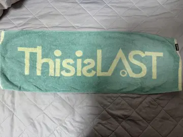 ThisisLAST 로고 타월 민트 그린