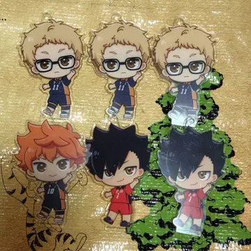 [ 하이큐!! ] 아크돌mini 히나타 츠키시마 쿠로오