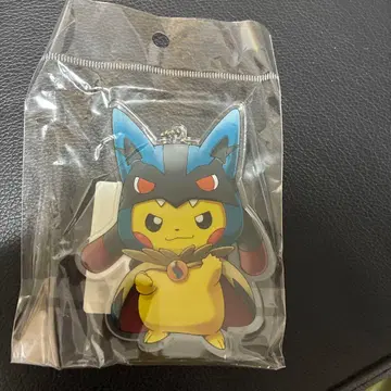 포켓몬 다이컷 아크릴 참 메가 루카리오 판초를 입은 피카츄