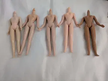 네오 브라이스 인형 부품 5체 세트