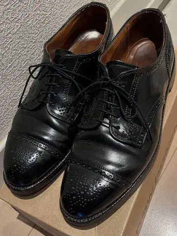 Alden 알든 2146 8 1/2 블랙 코도반