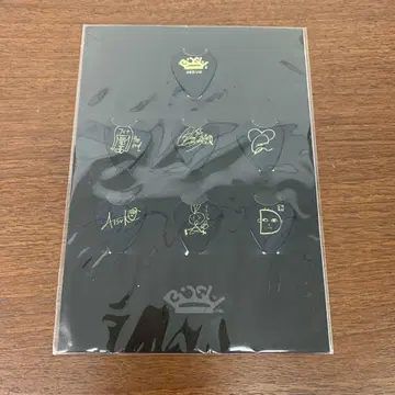 BiSH 펜더제 오리지널 피크 세트 미개봉품