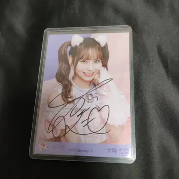 이코러브 오바 하나 고양이 친필 브로마이드