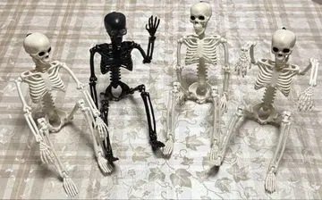 [ 해골 피규어 4체 ] 미사용품