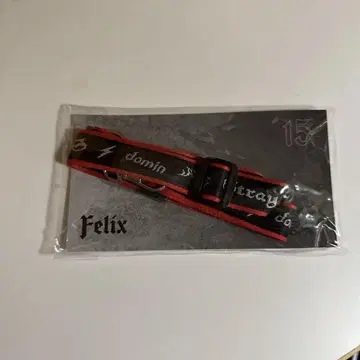 덤 포함 Felix 넥스트랩 dominATE JAPAN