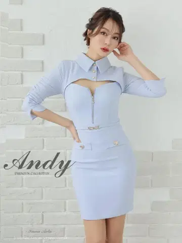 Andy 드레스 미사용
