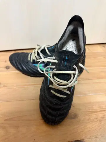 모렐리아 네오 3 베이 24.5