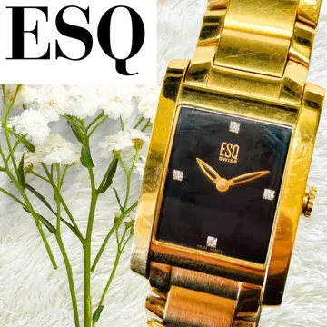 작동 ESQ 손목시계 골드 금 블랙 블랙 남성용 배터리 교환 E5342