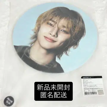 StrayKids 서울 콘 아이엔 부채 dominATE