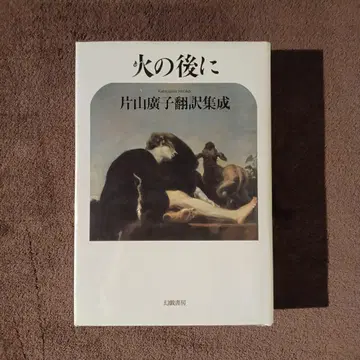 불의 이후 가타야마 히로코 번역집