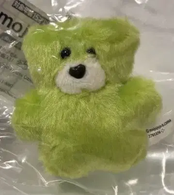 그린 컬러 곰 모양 봉제 인형